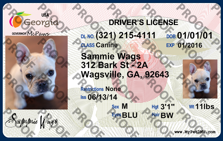 Driver`S License In Georgia