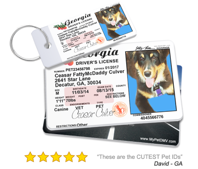 Pet Drivers License Image