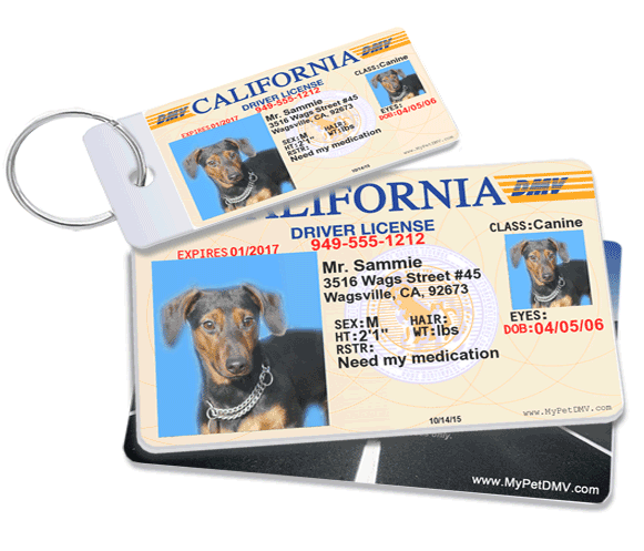 ID4Pet Nevada State Drivers License Personalized for Dogs and Cats 