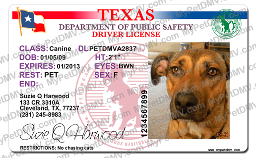 do i need a license to breed dogs in texas