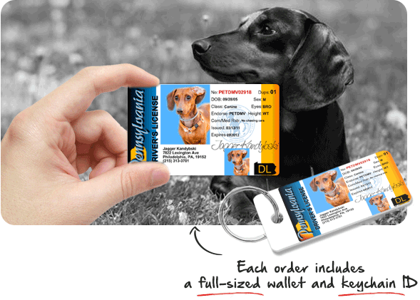 Pet ID tag wallet card and keychain tag for dogs