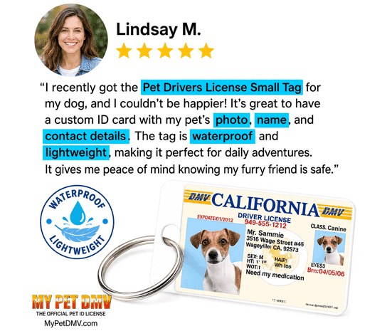 Custom pet ID tag and pet driver's license card