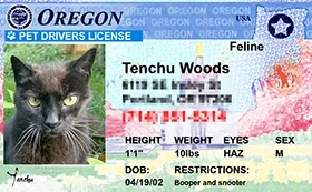 Thumbnail Pet Licenses for State Oregon