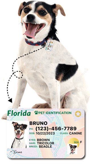  New York Driver License Custom Dog Tag for Pets and