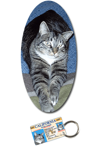 MyPetDMV - Official Pet Driver’s License®. Design today, ships tomorrow. All 50 States and Canada available. Don’t settle for imitations! 100% FREE Shipping & Lifetime Guarantee. Order now at MyPetDMV.com.