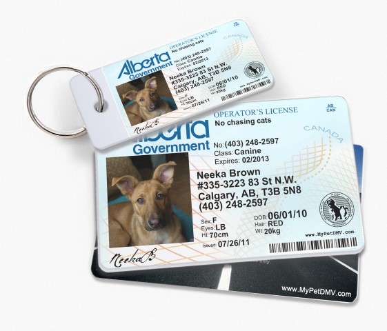Alberta Canada vanity drivers license dog cat custom novelty pet tag by ID4PET