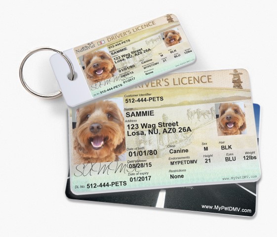 Canada Pet Driver's License Tags 