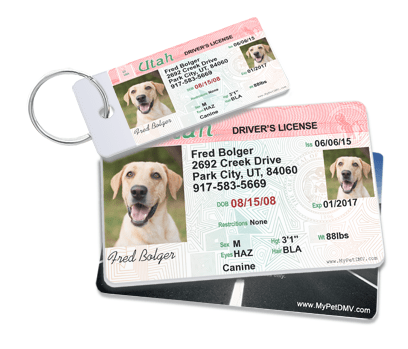 Inspired by the NJ Drivers License Custom and Personalized NJ Pet Identification Tag with a Photo 