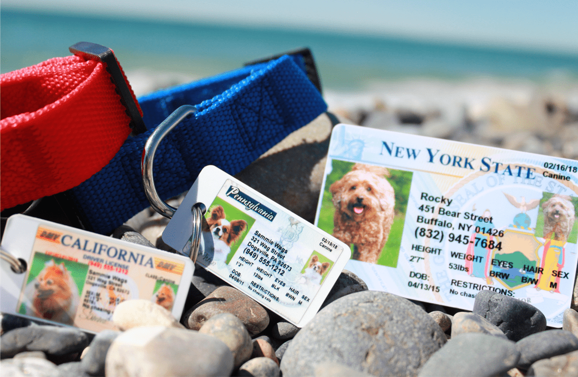 MyPetDMV Official Pet Driver's License Tag for all 50 States