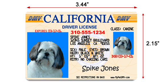 Pet Driver’s License Tags Large