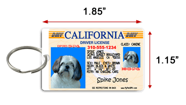 Pet Driver’s License Tags small