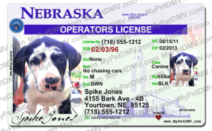 Nebraska state pet licenses