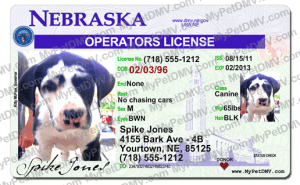 Pet ids deals