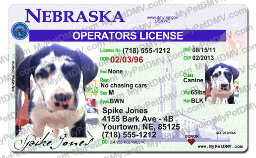 Pet Licenses for State Nebraska