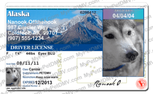 Alaska Pet ID: Custom Dog Driver's License Tag for your pet.