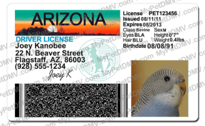 Pet Licenses for State Arizona