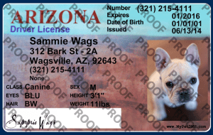 Pet Licenses for State Arizona