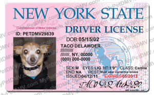 Pet Licenses for State New York