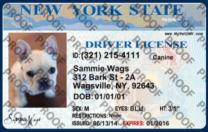 New York Driver License Custom Dog Tag for Pets and