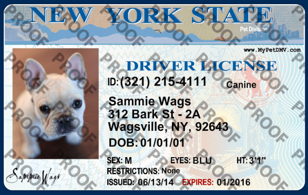 Pet Licenses for State New York