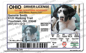 Pet Licenses for State Ohio