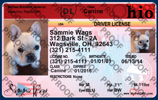 Pet Licenses for State Ohio