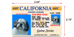 Pet ID License with Driver’s License Style Card and Mini Key Chain IDs for Pet Collars - MyPetDMV