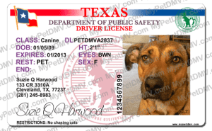 Texas state pet licenses