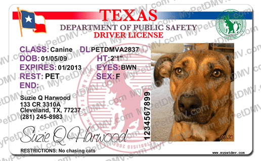  New York Driver License Custom Dog Tag for Pets and