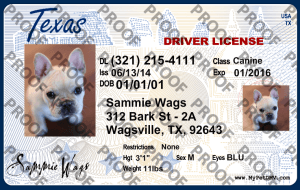 Texas state pet licenses