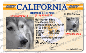 Pet Licenses for State California