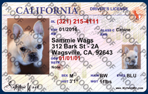Pet Licenses for State California