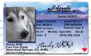 Pet Licenses for State Colorado