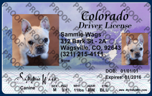 Pet Licenses for State Colorado