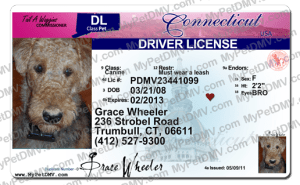 Pet Licenses for State Connecticut