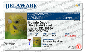 Pet Licenses for State Delaware