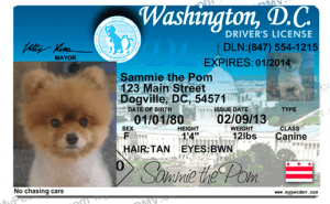 Pet Licenses for State District of Columbia