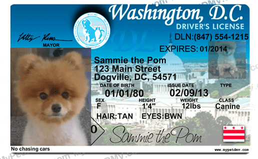 Pet Licenses for State District of Columbia