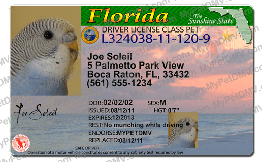 Pet Licenses for State Florida
