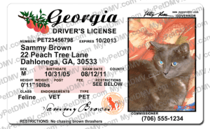 Pet Licenses for State Georgia