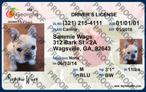 Pet Licenses for State Georgia