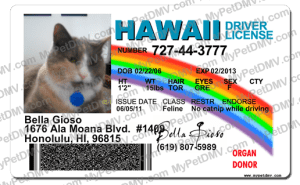 Pet Licenses for State Hawaii