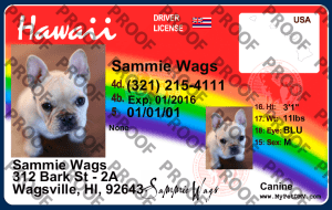 Pet Licenses for State Hawaii