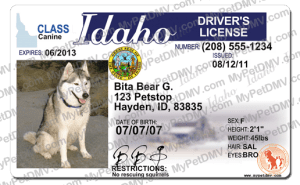 Pet Licenses for State Idaho