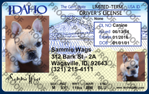 Pet Licenses for State Idaho