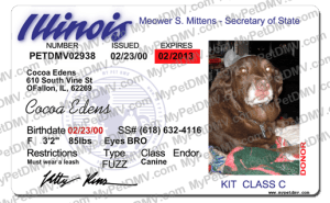 Pet Licenses for State Illinois