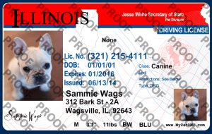 Pet Licenses for State Illinois