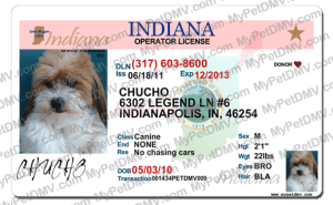 Pet Licenses for State Indiana
