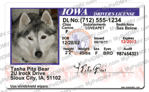 Pet Licenses for State Iowa