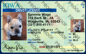 Pet Licenses for State Iowa
